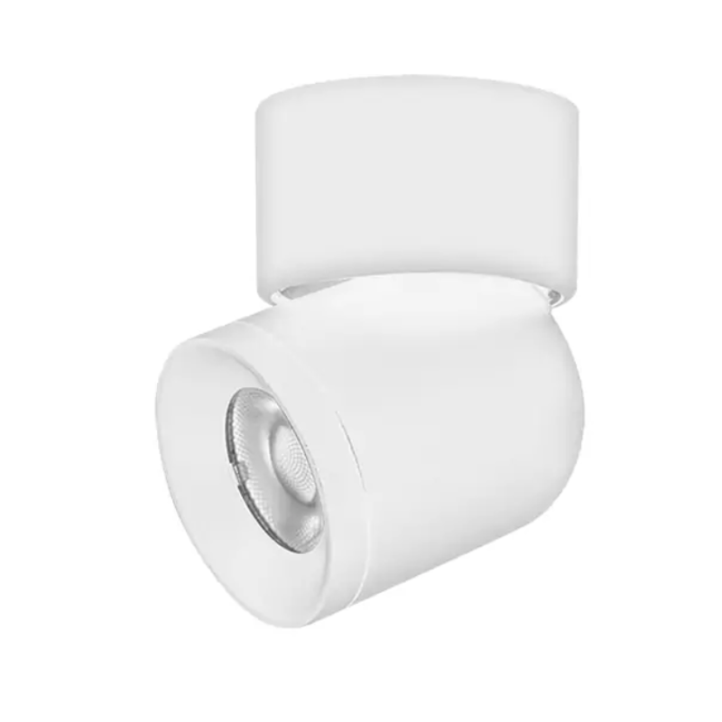 Luminaria Puntual Dirigible 7W Color Blanco Para Riel Europeo 48V