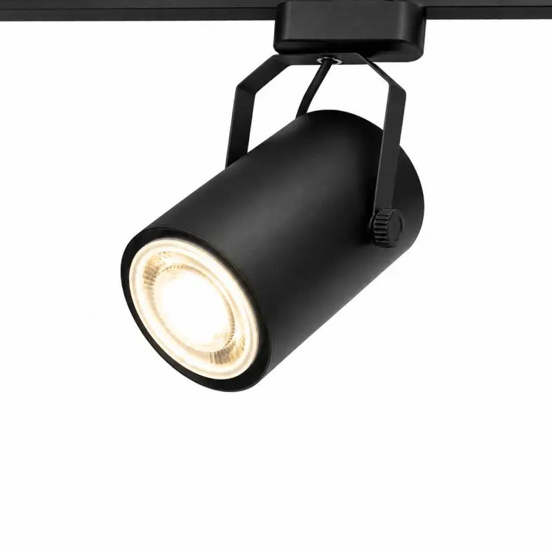 Lampara Negra Dirigible Para Par 30 Riel Electrificado 127V 2 Hilos