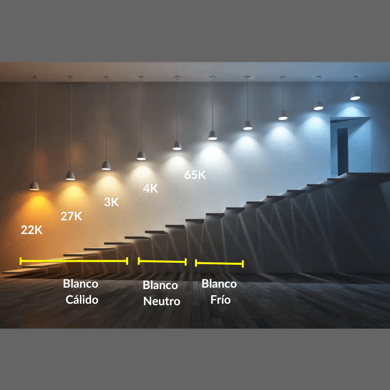 5M Tira LED 2216 24V 19.2W/M IP20, En 65K,41K,3K,27K O 22K - Wattko