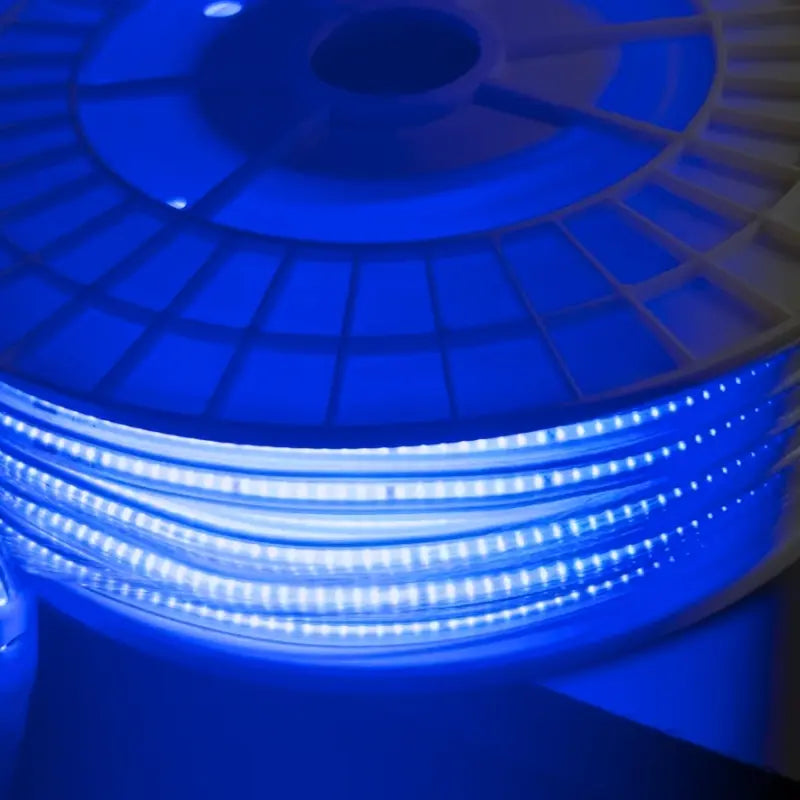 Meter Blue COB LED Hose 110V Waterproof