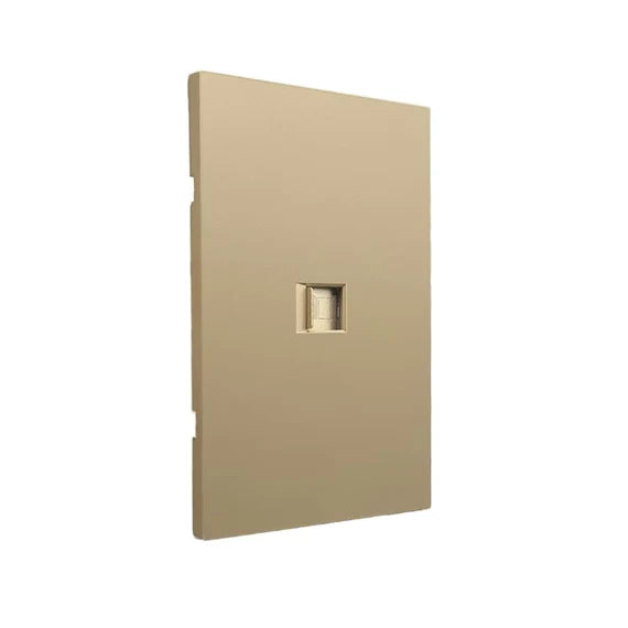 Luxury White Polycarbonate LAN Network Contact Plate
