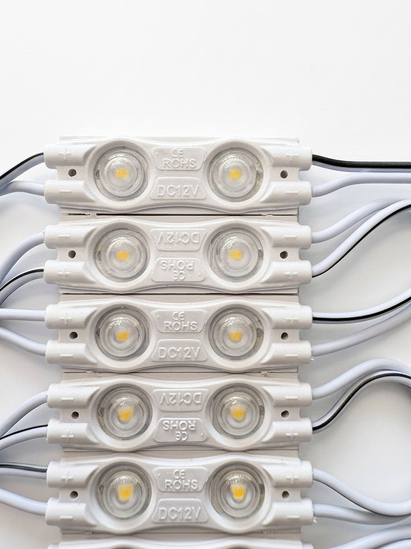 20 Pcs LED Modules 12V Cool White 6500k Outdoor IP65
