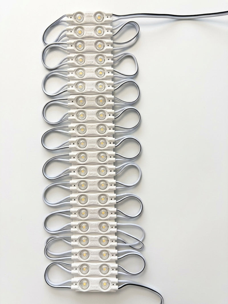 20 Pcs LED Modules 12V Cool White 6500k Outdoor IP65