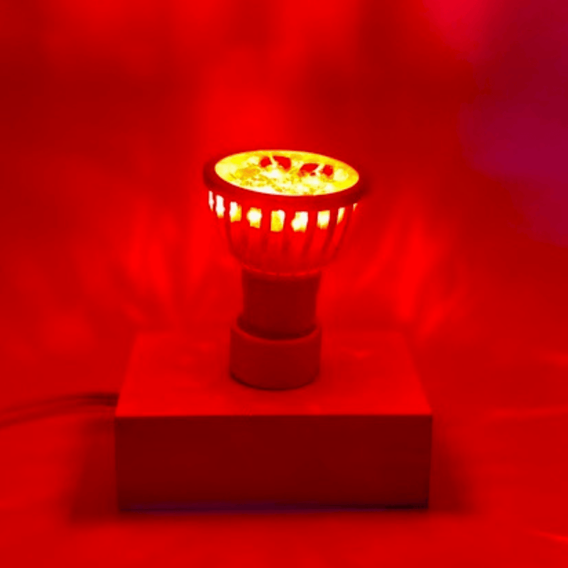 Foco PAR 12V, 5W, Variedad De Selección De Colores Fijos - Wattko