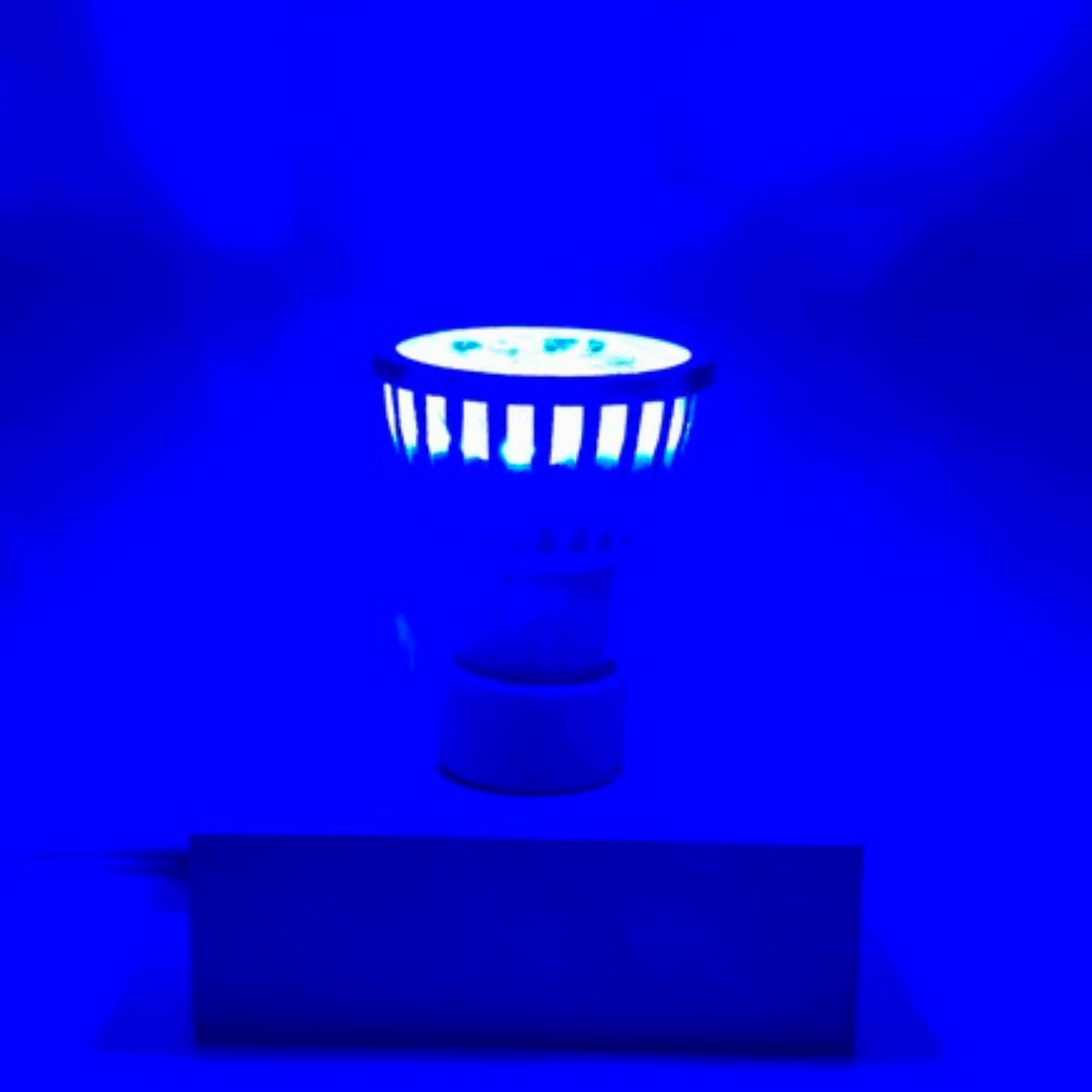 Foco PAR16 5W / 110V-260V - Wattko